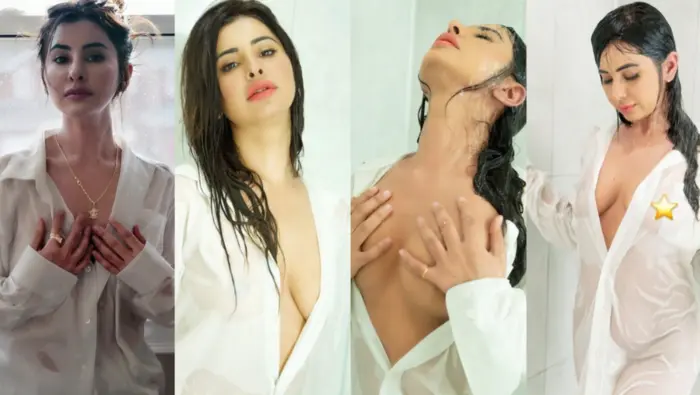 Punjabi Girl Meetii Kalher 5 BG BBC Sextapes Viral Video
